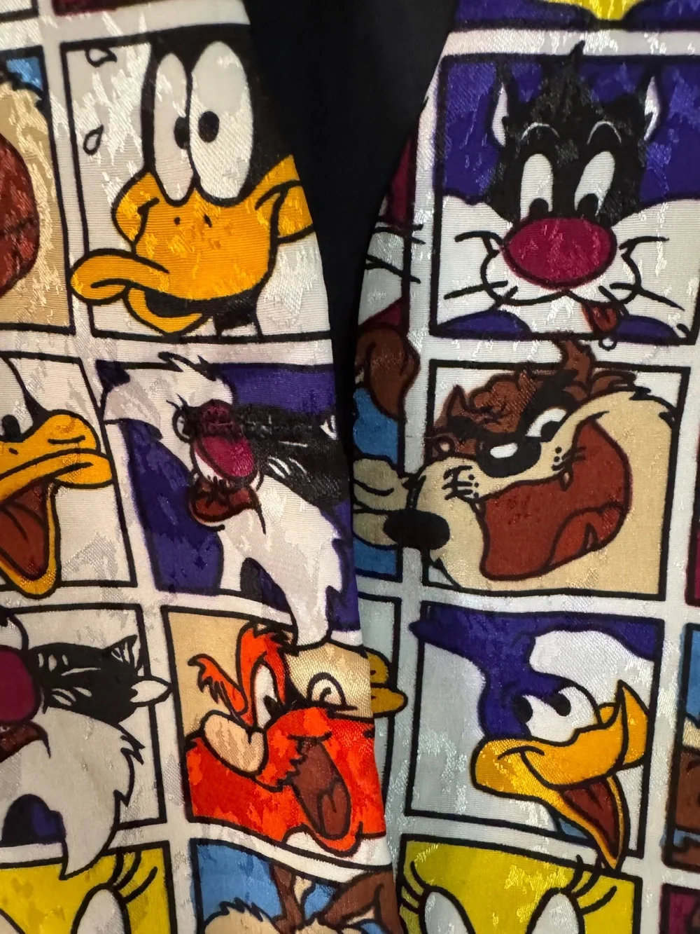 Vintage 1994 Warner Bros. Looney Tunes Vest